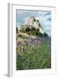 Lavender Field in Front of Ruins of Fortress on a Rock, Les Baux-De-Provence, Bouches-Du-Rhone-null-Framed Photographic Print