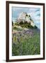 Lavender Field in Front of Ruins of Fortress on a Rock, Les Baux-De-Provence, Bouches-Du-Rhone-null-Framed Photographic Print