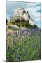 Lavender Field in Front of Ruins of Fortress on a Rock, Les Baux-De-Provence, Bouches-Du-Rhone-null-Mounted Photographic Print