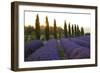 Lavender Field Near Roussillion, Provence Alpes Cote D'Azur, Provence, France, Europe-Christian Heeb-Framed Photographic Print