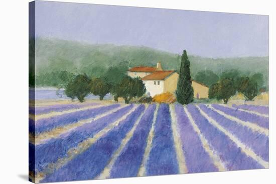 Lavender Field Near St Tropez-Hazel Barker-Stretched Canvas
