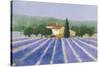 Lavender Field Near St Tropez-Hazel Barker-Stretched Canvas