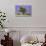 Lavender Field Near Valensole, Provence, France, Europe-Christian Heeb-Stretched Canvas displayed on a wall