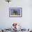 Lavender Field Near Valensole, Provence, France, Europe-Christian Heeb-Framed Photographic Print displayed on a wall