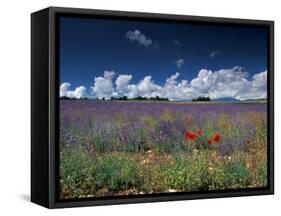 Lavender Field, Provence, France-Gavriel Jecan-Framed Stretched Canvas