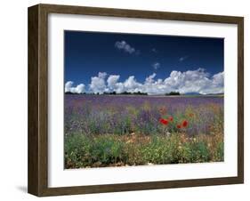 Lavender Field, Provence, France-Gavriel Jecan-Framed Premium Photographic Print