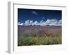 Lavender Field, Provence, France-Gavriel Jecan-Framed Premium Photographic Print