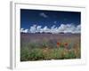 Lavender Field, Provence, France-Gavriel Jecan-Framed Photographic Print