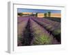 Lavender Field, Provence, France-Gavriel Jecan-Framed Premium Photographic Print