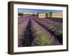 Lavender Field, Provence, France-Gavriel Jecan-Framed Photographic Print