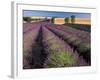 Lavender Field, Provence, France-Gavriel Jecan-Framed Photographic Print