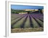 Lavender Field, Provence, France-Gavriel Jecan-Framed Photographic Print