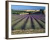 Lavender Field, Provence, France-Gavriel Jecan-Framed Photographic Print