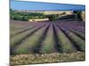 Lavender Field, Provence, France-Gavriel Jecan-Mounted Photographic Print