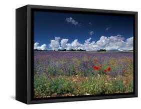 Lavender Field, Provence, France-Gavriel Jecan-Framed Stretched Canvas