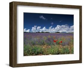 Lavender Field, Provence, France-Gavriel Jecan-Framed Photographic Print