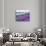 Lavender Field, Sequim, Washington, USA-Janell Davidson-Photographic Print displayed on a wall
