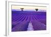 Lavender Field Summer Sunset Landscape with Two Tree near Valensole.Provence,France-Fesus Robert-Framed Photographic Print