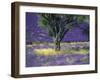 Lavender Field, Vaucluse, Sault, Provence-Alpes-Cote D'Azur, France-Bruno Morandi-Framed Photographic Print