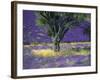 Lavender Field, Vaucluse, Sault, Provence-Alpes-Cote D'Azur, France-Bruno Morandi-Framed Photographic Print