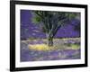 Lavender Field, Vaucluse, Sault, Provence-Alpes-Cote D'Azur, France-Bruno Morandi-Framed Photographic Print