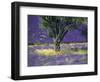 Lavender Field, Vaucluse, Sault, Provence-Alpes-Cote D'Azur, France-Bruno Morandi-Framed Photographic Print