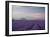 Lavender Field-Rostovskiy Anton-Framed Giclee Print