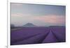 Lavender Field-Rostovskiy Anton-Framed Giclee Print