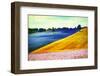 Lavender Field-Oleg Znamenskiy-Framed Photographic Print