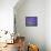 Lavender Field-Herbert Kehrer-Framed Stretched Canvas displayed on a wall