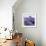 Lavender Field-Edler von Rabenstein-Framed Photographic Print displayed on a wall