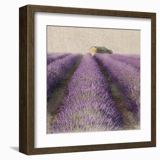 Lavender Field-Bret Staehling-Framed Art Print