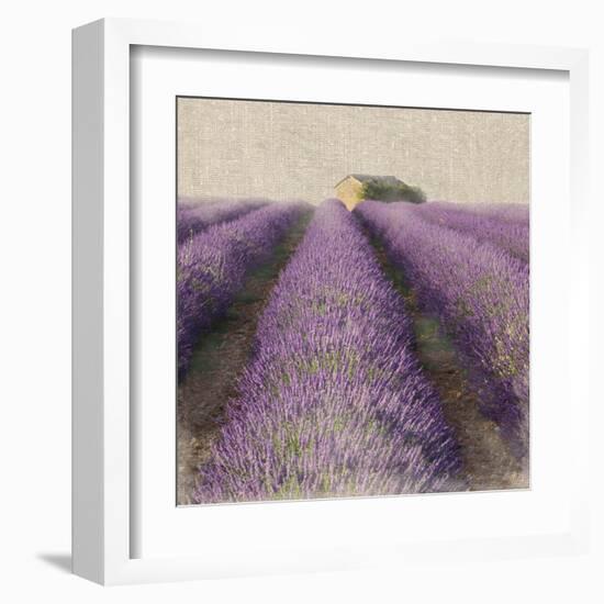 Lavender Field-Bret Staehling-Framed Art Print