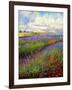 Lavender Field-David Stribbling-Framed Art Print