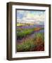 Lavender Field-David Stribbling-Framed Art Print