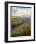 Lavender Field-David Stribbling-Framed Art Print