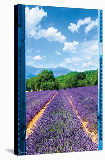 Lavender Field-Trends International-Stretched Canvas