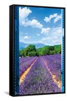 Lavender Field-Trends International-Framed Stretched Canvas