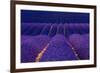 Lavender fields, Alpes Haute Provence, France-Juan Carlos Munoz-Framed Photographic Print