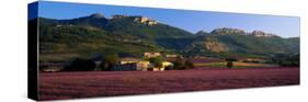 Lavender Fields and Farms, High Provence, La Drome, France-null-Stretched Canvas