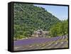 Lavender Fields and Senanque Monastery-David Sailors-Framed Stretched Canvas