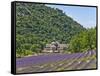 Lavender Fields and Senanque Monastery-David Sailors-Framed Stretched Canvas