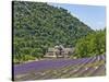 Lavender Fields and Senanque Monastery-David Sailors-Stretched Canvas