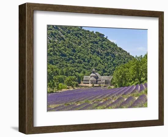 Lavender Fields and Senanque Monastery-David Sailors-Framed Photographic Print