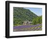 Lavender Fields and Senanque Monastery-David Sailors-Framed Photographic Print
