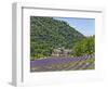 Lavender Fields and Senanque Monastery-David Sailors-Framed Photographic Print