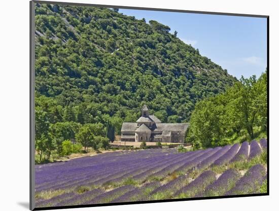 Lavender Fields and Senanque Monastery-David Sailors-Mounted Photographic Print