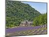 Lavender Fields and Senanque Monastery-David Sailors-Mounted Photographic Print