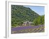 Lavender Fields and Senanque Monastery-David Sailors-Framed Photographic Print