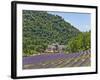 Lavender Fields and Senanque Monastery-David Sailors-Framed Photographic Print